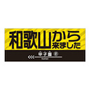 和歌山から来ましたフェイスタオル★受注生産品★
