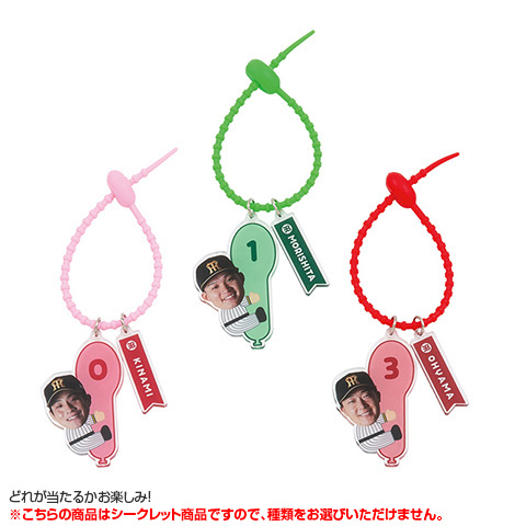 全12種）シークレット風船めじるしシリコンバンド - 阪神タイガース