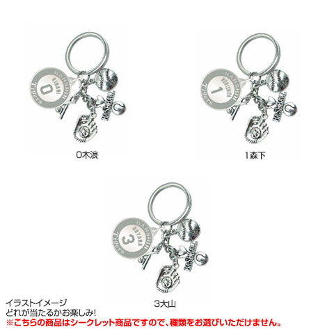 全12種）シークレットネームプレート付 ダイキャストキーホルダー