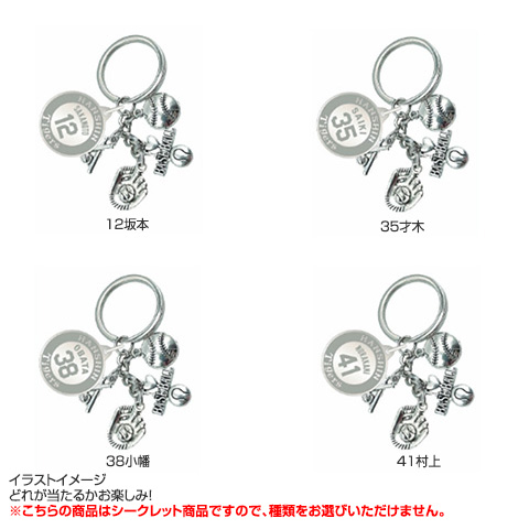 全12種）シークレットネームプレート付 ダイキャストキーホルダー