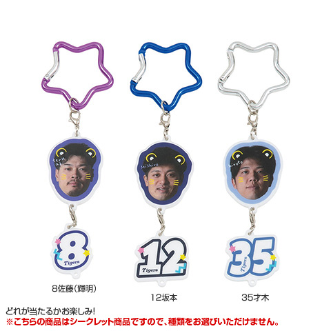 全12種）シークレットペイント風アクリルチャーム - 阪神タイガース