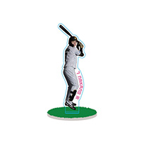 （全12種）シークレット芝生アクスタ