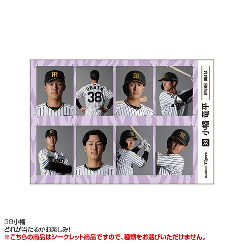全12種）シークレット証明写真風ステッカー - 阪神タイガース公式