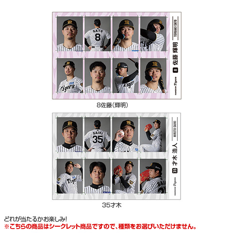 全12種）シークレット証明写真風ステッカー - 阪神タイガース公式