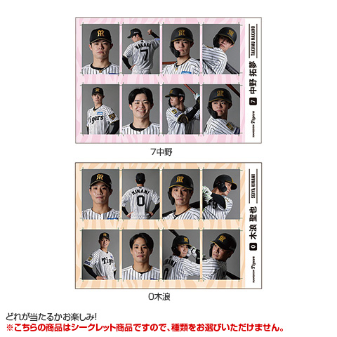 全12種）シークレット証明写真風ステッカー - 阪神タイガース公式