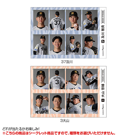 全12種）シークレット証明写真風ステッカー - 阪神タイガース公式