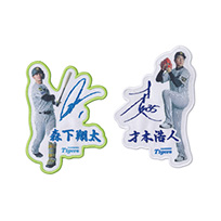 選手カラーワッペンver.4