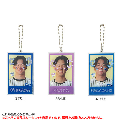 全12種）シークレット虎耳レイヤーアクリルキーホルダー - 阪神
