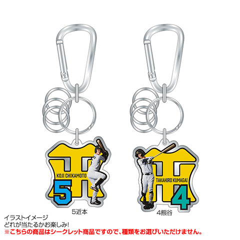 専用⭐︎キーホルダー数点⭐︎専用 全12種）シークレットメタルカラビナキーホルダー - 阪神タイガース