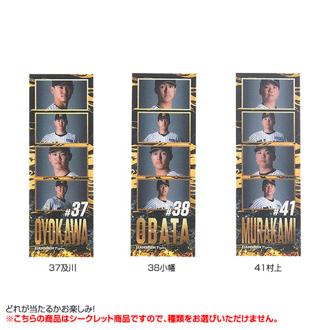 全12種）シークレットフォトグレイ - 阪神タイガース公式オンライン