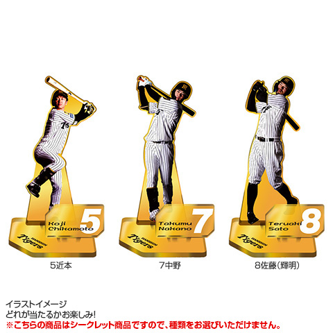 全12種）シークレット選手ゴールドアクリルスタンド - 阪神タイガース