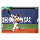 ブロマイド 3/31 T-DB No.1　35才木