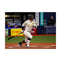 ブロマイド 3/31 T-DB No.2　8佐藤（輝明）