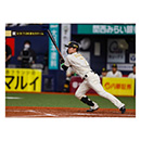 ブロマイド 3/31 T-DB No.3　7中野