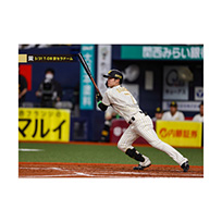 ブロマイド 3/31 T-DB No.3　7中野