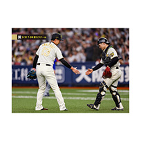 ブロマイド 3/31 T-DB No.4　13岩崎、12坂本