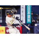 ブロマイド 4/1 T-DB No.3　1森下