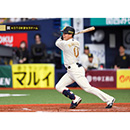 ブロマイド 4/2 T-DB No.3　0木浪