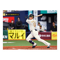 ブロマイド 4/2 T-DB No.3　0木浪