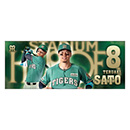 STADIUM HEROES DAY フェイスタオル