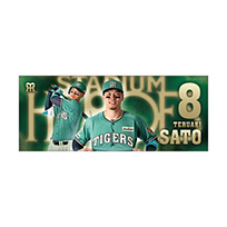 STADIUM HEROES DAY フェイスタオル