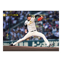 ブロマイド 4/7 T-S No.1　35才木