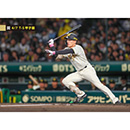 ブロマイド 4/7 T-S No.2　92福島