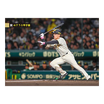 ブロマイド 4/7 T-S No.2　92福島