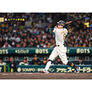 ブロマイド 4/7 T-S No.4　8佐藤（輝明）