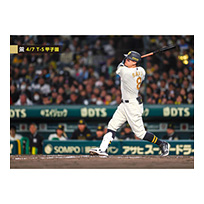 ブロマイド 4/7 T-S No.4　8佐藤（輝明）