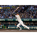 ブロマイド 4/8 T-S No.1　5近本