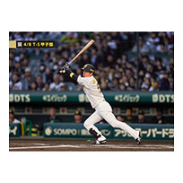 ブロマイド 4/8 T-S No.1　5近本