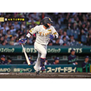 ブロマイド 4/8 T-S No.2　0木浪