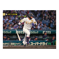 ブロマイド 4/8 T-S No.2　0木浪