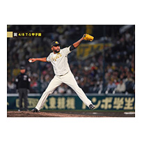 ブロマイド 4/8 T-S No.5　98ドリス