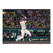 ブロマイド 4/9 T-S No.3　3大山