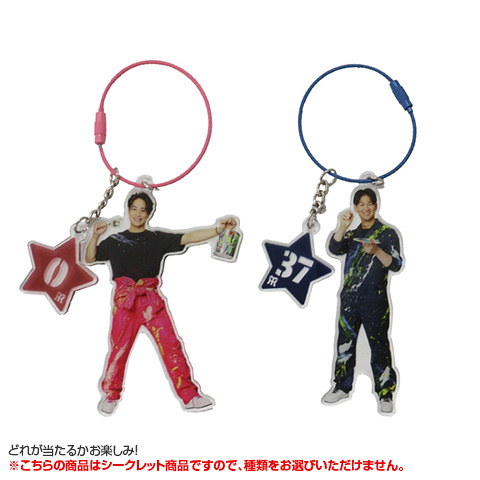全12種）シークレットTORACOワイヤーリングアクリルキーホルダー
