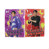（全12種）シークレットTORACOクリアファイル
