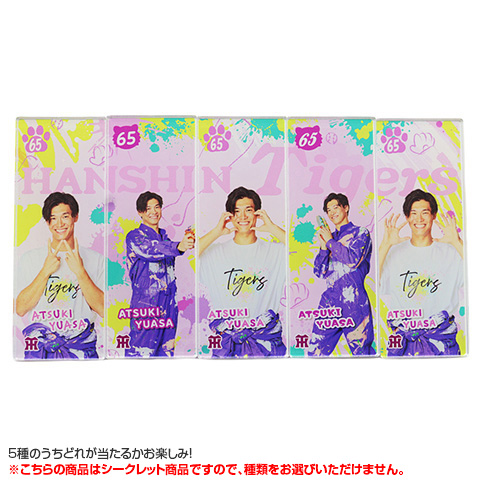8選手×5種）選手別シークレットTORACOアクリルクリップ - 阪神
