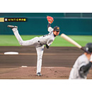 ブロマイド 4/14 T-G No.1　35才木