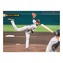 ブロマイド 4/14 T-G No.1　35才木