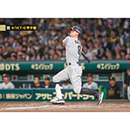 ブロマイド 4/14 T-G No.3　8佐藤（輝明）