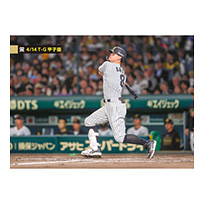 ブロマイド 4/14 T-G No.3　8佐藤（輝明）