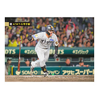 ブロマイド 4/14 T-G No.4　58前川