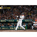 ブロマイド 4/14 T-G No.5　67高寺