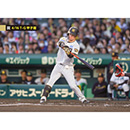 ブロマイド 4/16 T-G No.1　7中野