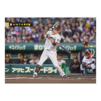 ブロマイド 4/16 T-G No.1　7中野