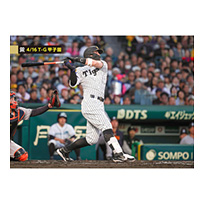 ブロマイド 4/16 T-G No.2　8佐藤（輝明）