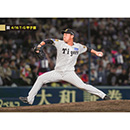ブロマイド 4/16 T-G No.4　47桐敷