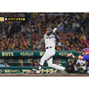 ブロマイド 4/17 T-D No.1　3大山